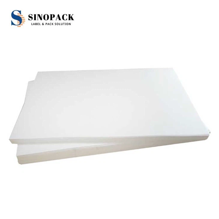 12379069813_1449075481